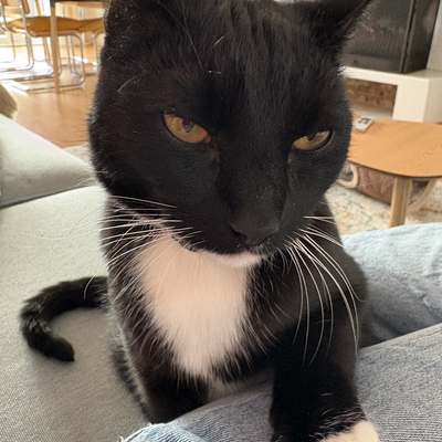 floristevito picture