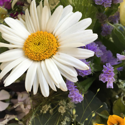 Camillacamamilla picture