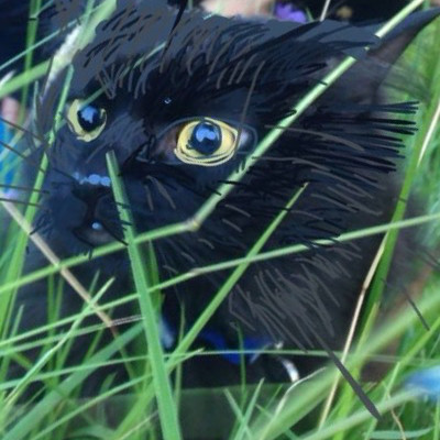 ElviraDurango picture