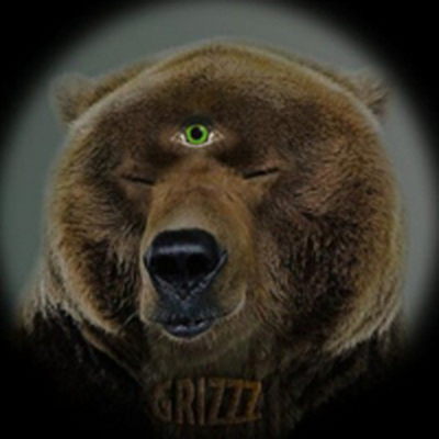 GRIZZZ.269 picture