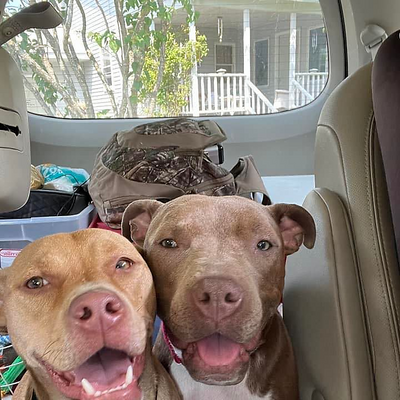 KimberlyMangia picture