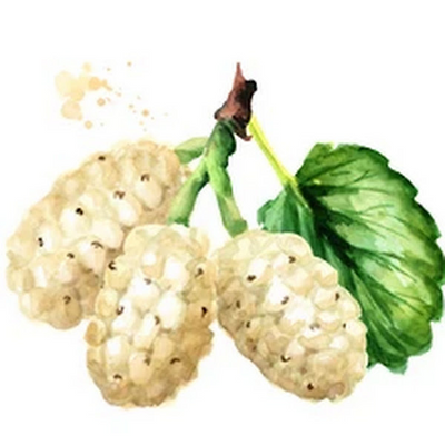 mulberryferry picture