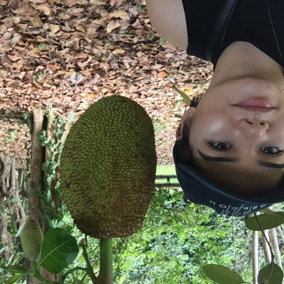 allison_guill picture