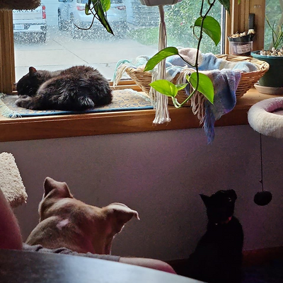 TamiGottwalt picture