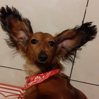 SandrineBernard picture