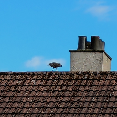 krispohlpm.me picture