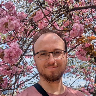 Treesearcher picture