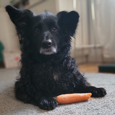 SusanneSpieker picture