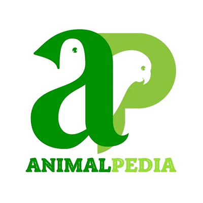animalpedia picture