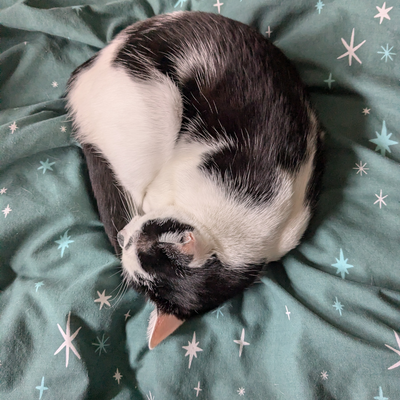 RobinCassidy picture