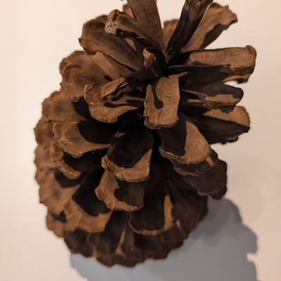 松原和巳 picture