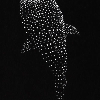 FlaviaTerraneo picture