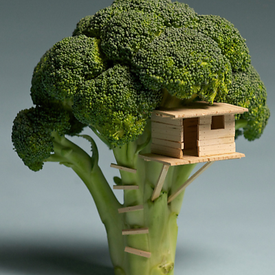 BroccoLee picture