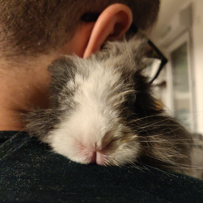 Chiisanaowly picture