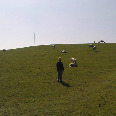 jakobcroehrig picture