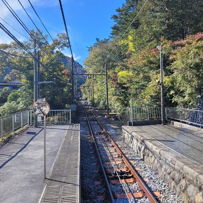 JeremyBalfour picture