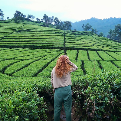 whatswithwendy picture