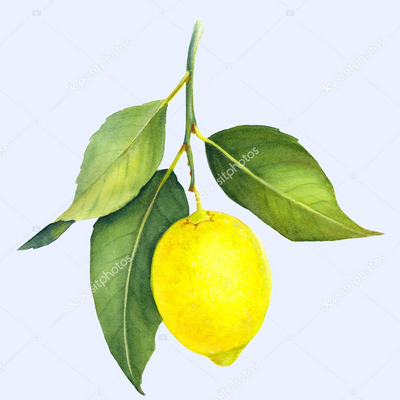 lemontyseven picture