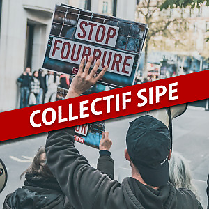 Collectif.SIPE picture