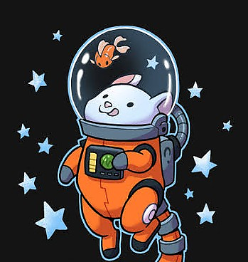 CatStronaut picture
