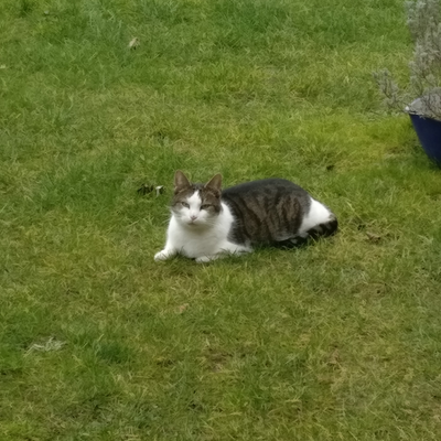 StephanieLangstein picture