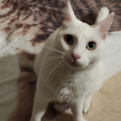 GiuseppinaRocco picture