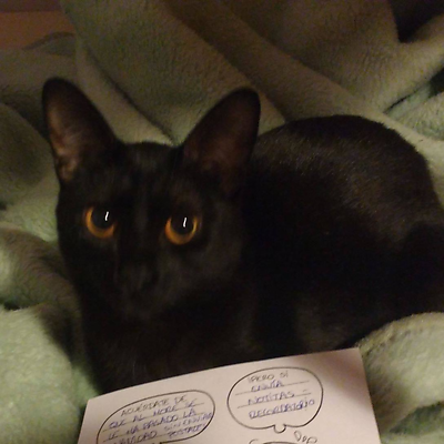 DaniGuardiola picture