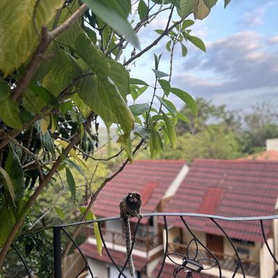 fernandaarruti picture