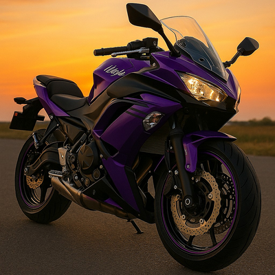 Kawasaki picture