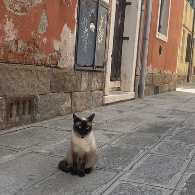 AurélieLilia picture