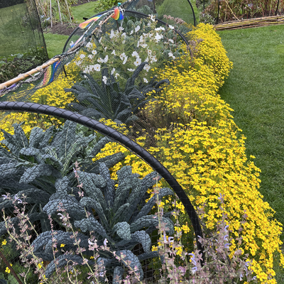 RominaVisentin picture