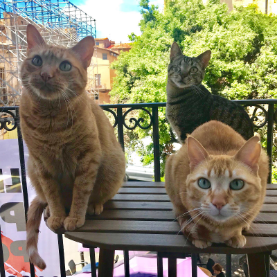 MariaVerdudeJuan picture