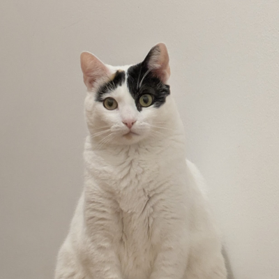 NainNainGuan picture