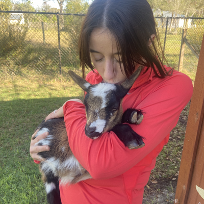 savelivesgovegan picture