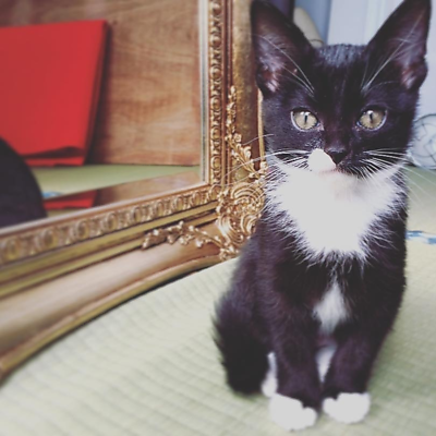 TakakoOhyama picture