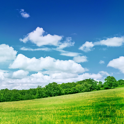 paraconsistent picture