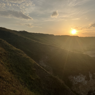 tofu_is_king picture