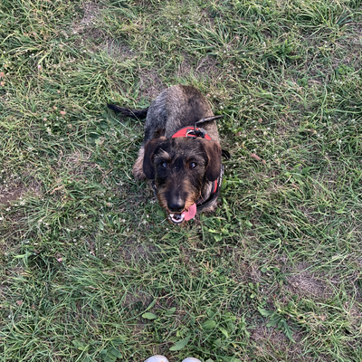 ElenaBarbonetti01 picture