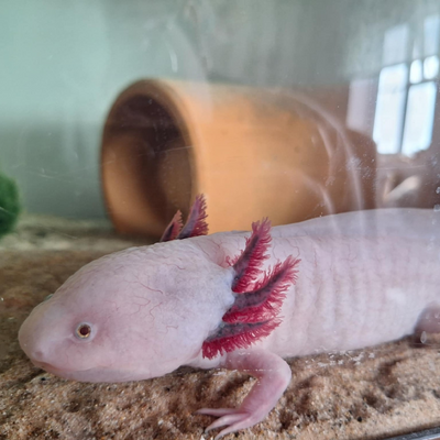 GabriellaMcgarrity picture