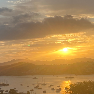 TravelWell62 picture