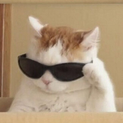 cats4ever picture