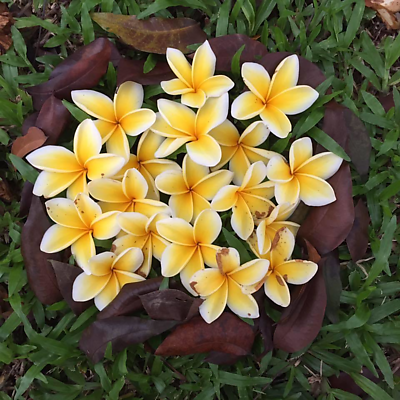 PhanHoangYen picture