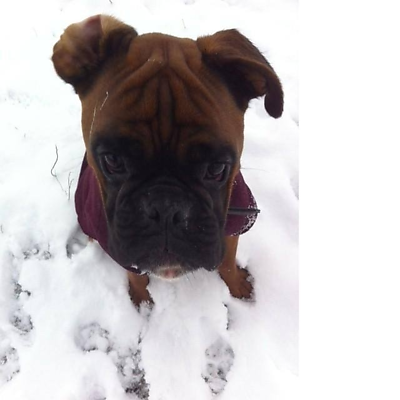 TrevorSaunders picture