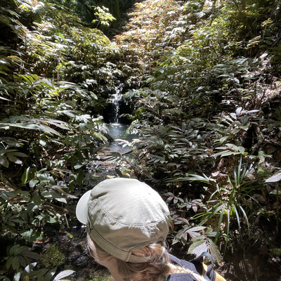 fairygirlkaro picture