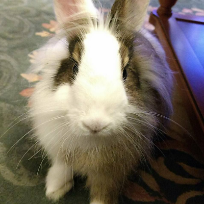 JoseA.Camaño picture