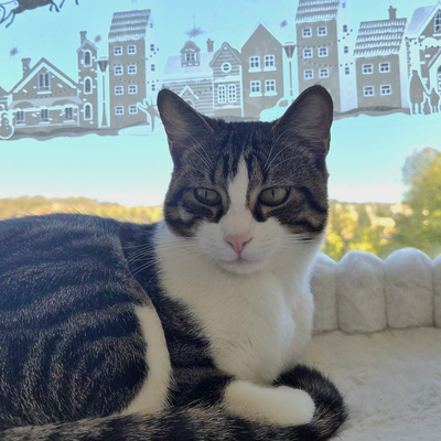 KarenTraficante picture