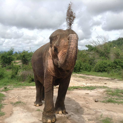 JanHarbottle picture