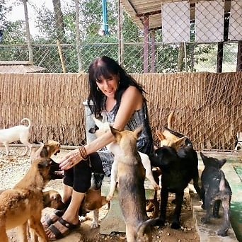 JoJoMiracles picture