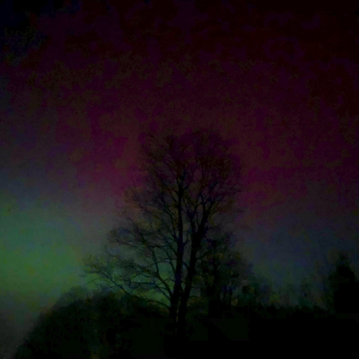 fröhlichekuh picture