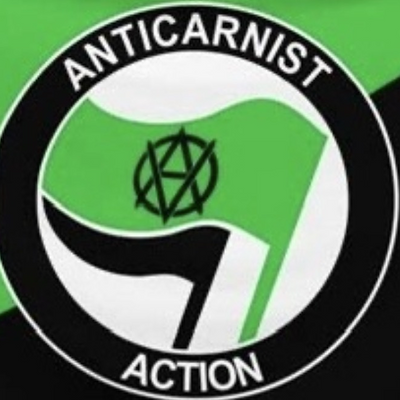 skapunkdrums picture